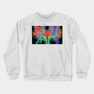 Corpus callosum, DTI MRI scan (C017/7044) Crewneck Sweatshirt